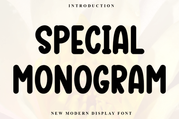 Special Monogram: A Display Font That Elevates Your Brand Identity